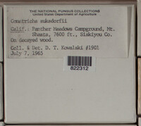 Image Associated With the Occurence